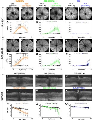 A comparison of optophysiological biomarkers of photoreceptor stress and phototoxicity in BALB/cJ, B6(Cg)-Tyrc-2J/J, and C57Bl/6J mouse strains